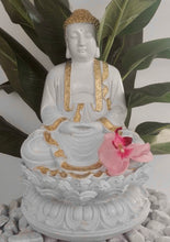 Load image into Gallery viewer, 50cm Indian Buddha