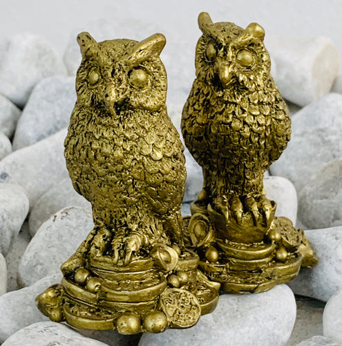Fengshui Owls pair