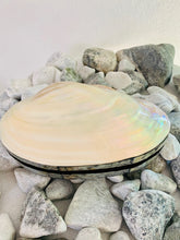 Load image into Gallery viewer, SEASHELL JEWELLERY BOX