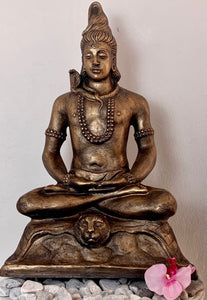 60cm Shiva