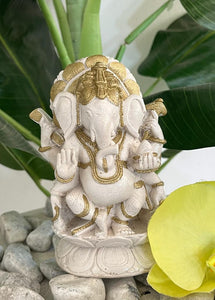 Ganesha 14cm