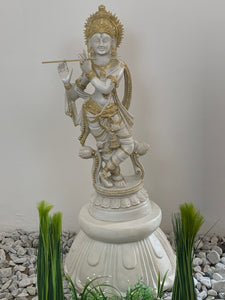 1m Krishna