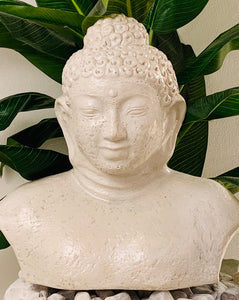 Buddha bust 50cm
