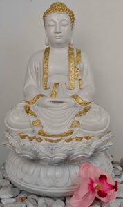 50cm Indian Buddha